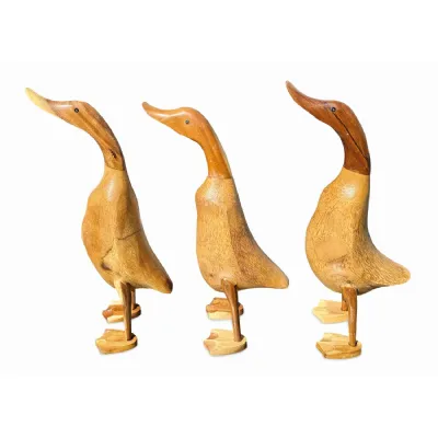 Smooth Ducks Natural 45cm Large Set Of 3