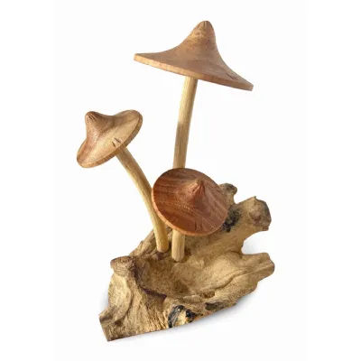 3 Parasol Mushrooms On Driftwood