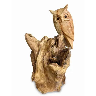 Single Tawny Owl On Driftwood