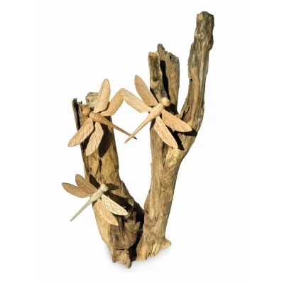 3 Dragonfly On Driftwood