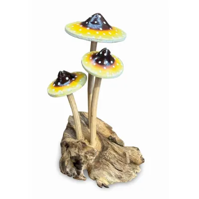 Amanita Yellow Psychedelic 3 X Mushrooms 14cm
