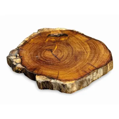 Tree Root Slice Coaster 10 17cm Dia