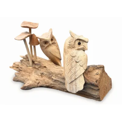 Twin Owls In Mushroom Garden