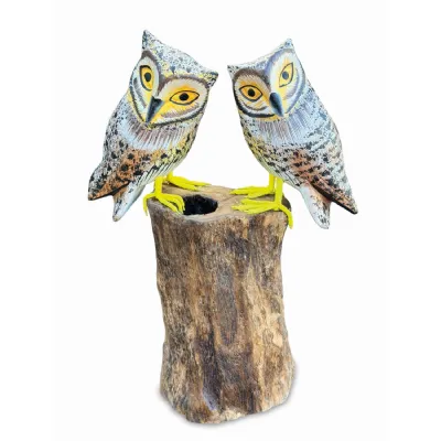 Painted Double Tawny Owls 27cm