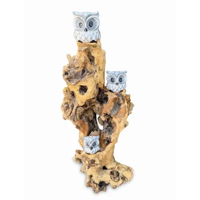 3 Baby Owls In A Tree