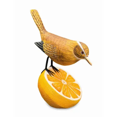 Wren Munching An Orange (please Order In Multiples Of 2)
