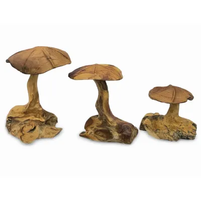Root Wild Mushrooms Set Of 3