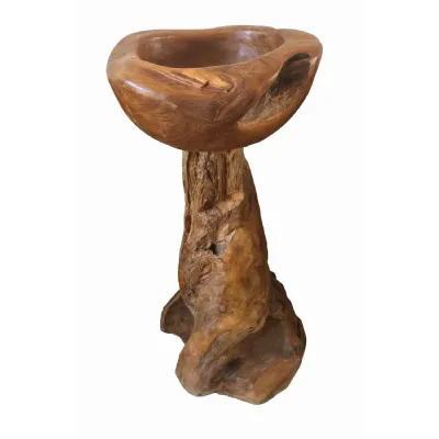 Root Bird Bath