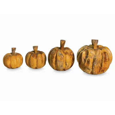 Root Pumpkins Set Of 4