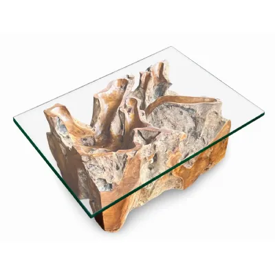 Clear Glass Top Rectangle Coffee Table with Root Base
