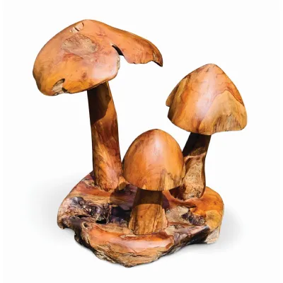 Root Gili Mini Mushroom Cluster