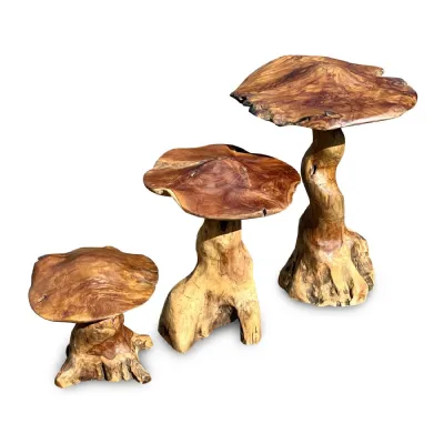 Natural Teak Root Giant Wild Set of 3 Toadstools Sculptures