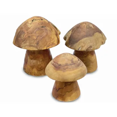 Root Mushrooms Set Of 3