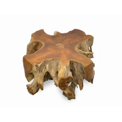 Natural Teak Root Design Round Spider Coffee Table