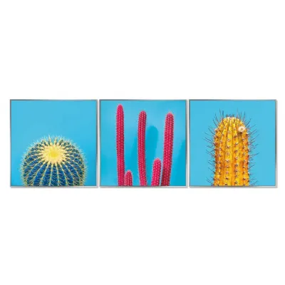 Cactus Detailed Acrylic Large Set of 3 Wall Art Silver Frame
