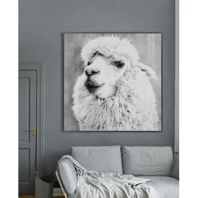 Alpaca Monochrome Large Glass Wall Art Silver Framed