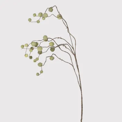 Green Pom Pom Willow Spray