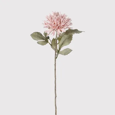 Blush Pink Dahlia Spray with Leaves