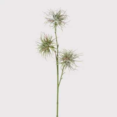 Green and Pink Allium Spray
