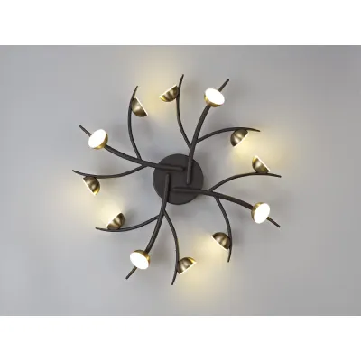 *Newhaven 12 Light Flush, 12 x 3W LED, 3000K, 1980lm, Black Antique Brass, 3yrs Warranty