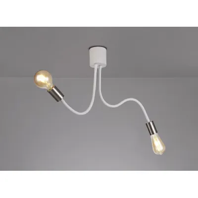 Andover Flexible Ceiling 2 Light E27 Satin White Satin Nickel