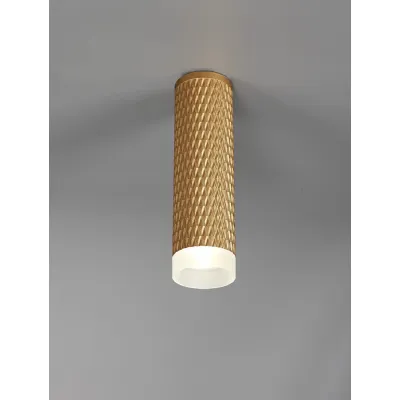 Lenham 1 Light 20cm Surface Mounted Ceiling GU10, Champagne Gold Acrylic Ring