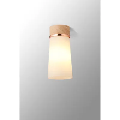 Bordon 1 Light Ceiling E27, With Small Opal Cylindrical Cone Glass Teak Opal Matt Black