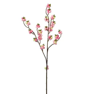 Blush Snowberry