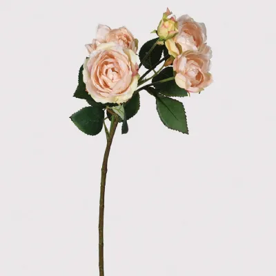 Regent Pale Pink Rose with Leaves