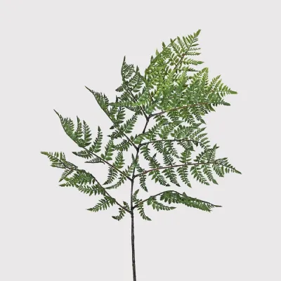 Extra Large Bracken Fern Spray