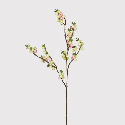 Touch of Blush Snowberry