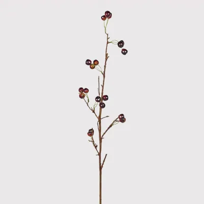Wild Cherry Spray