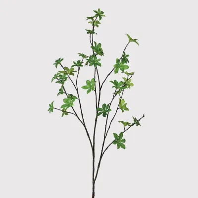 Green Enkianthus Spray
