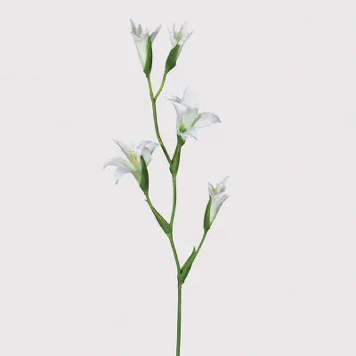 White Gladiolus Spray