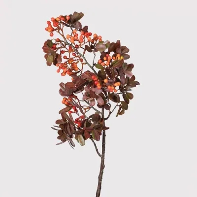 Orange Rowan Spray