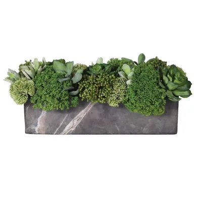 Succulent And Skimmia Arrangement In Faux Marble