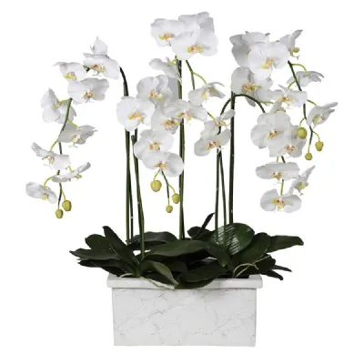White Orchid Phalaenopsis Plant In Marble Look Planter