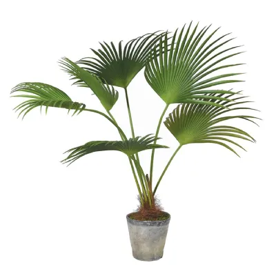 Sonora Palm with Moss in Rustic Grey Pot