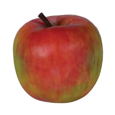 Real Feel Fuji Apple
