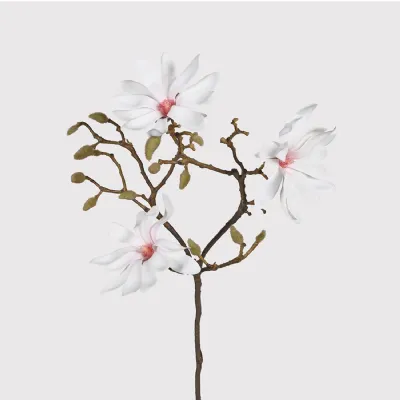 Touch of Blush Magnolia Spray with Leaves