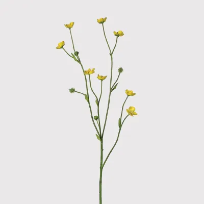 Meadow Buttercup Spray with Leaves
