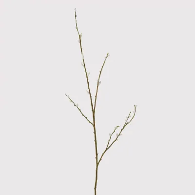 Natural Pussy Willow Stem