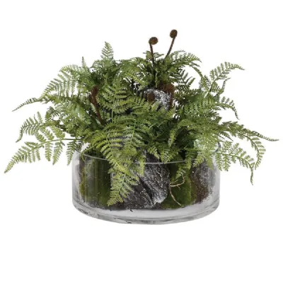 Green Fern Plant With Bark In Glass Bowl