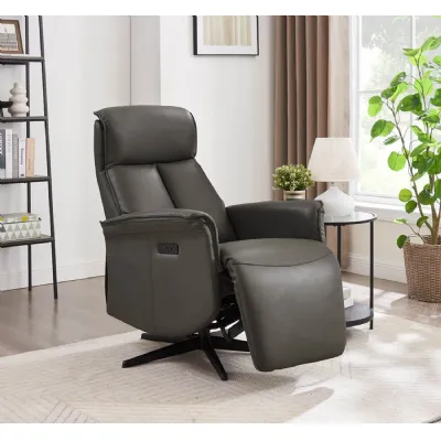 Ash Leather Electric Power Recliner Accent Chair
