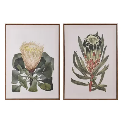 Set of 2 Protea Pictures in Frame