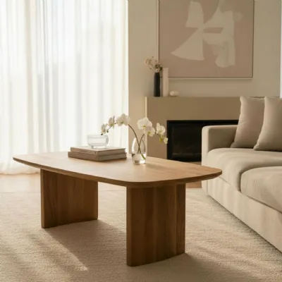 Modern Brown Mango Wood Coffee Table