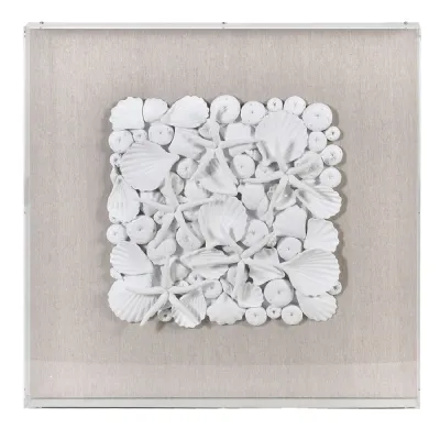 Shells Wall Art