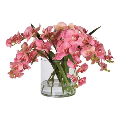 Pink Phalaenopsis Orchid in Glass Vase