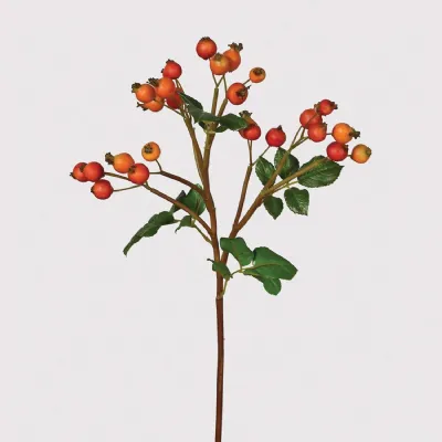 Orange Rose Hip Spray with Leaves