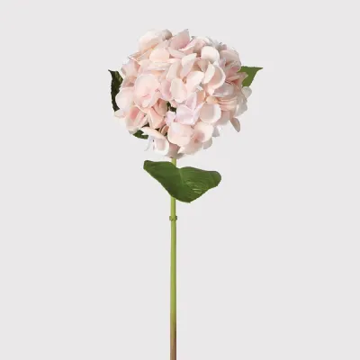 Blush Real Feel Hydrangea with Leaves